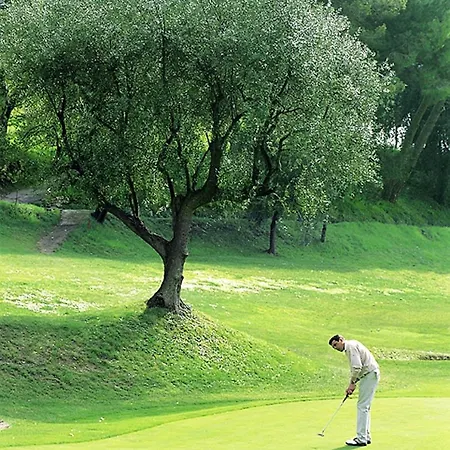 ホテル パラディソ 4*