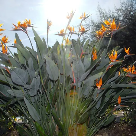 Hotel Paradiso San Remo