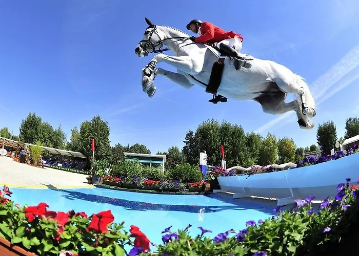 帕拉狄索酒店 酒店 4*