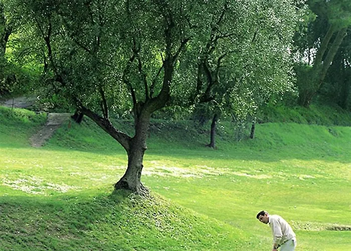 酒店 帕拉狄索酒店 4*